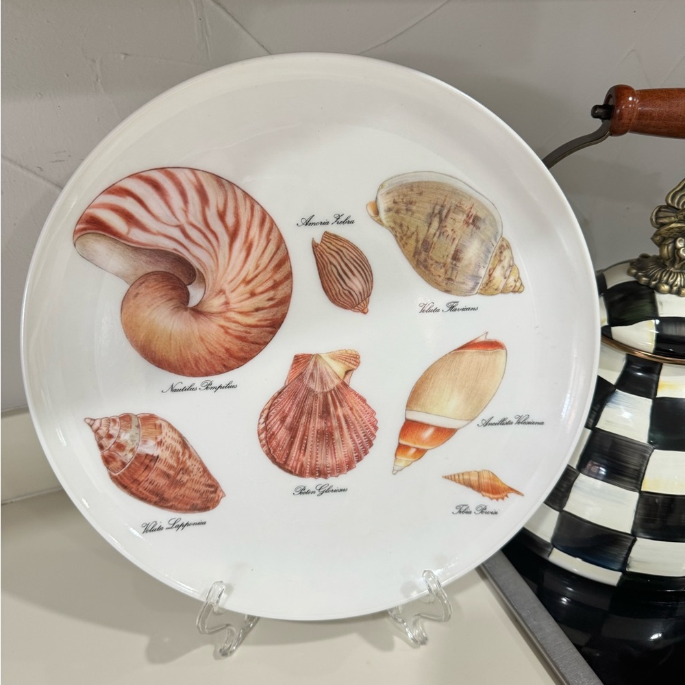 The Marie Selby Botanical Gardens Seashell Melamine Trivet Tray Italy 8”